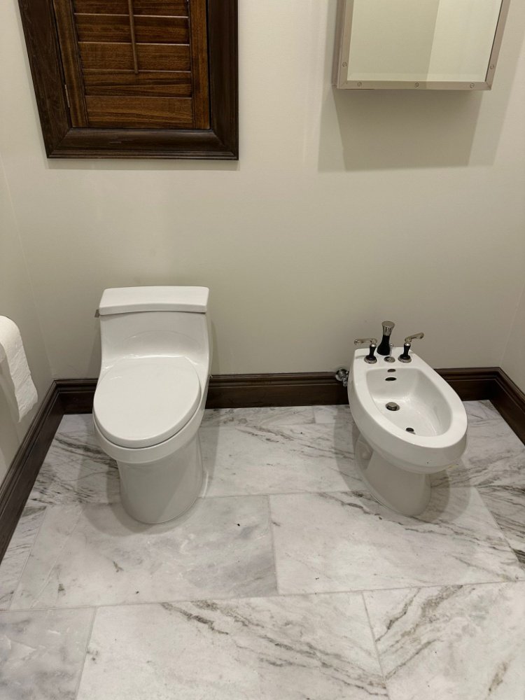 Inodoro y Bidet modernos